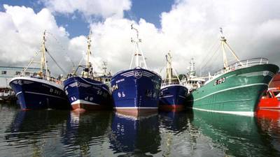 Coveney calls for ‘realistic negotiation’  to counter  mackerel overfishing
