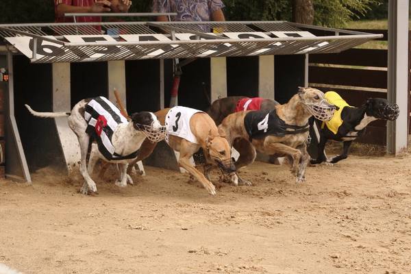 Britain’s great greyhound racing advocate faces Brexit bind