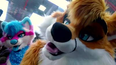 Thousands attend world's 'largest' furry convention