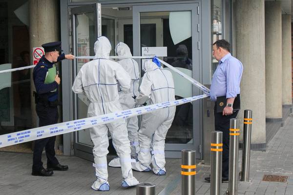 Victim of fatal Dublin stabbing named as Skaidrite Valdgeima