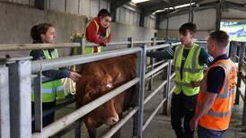 How Ireland’s young farmers are facing up to their generation’s financial, social, and environmental challenges