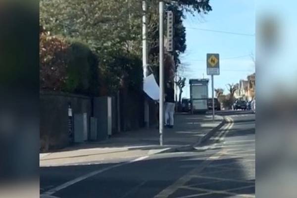 Labour complains of ‘concerted’ attempts to tear down Yes posters