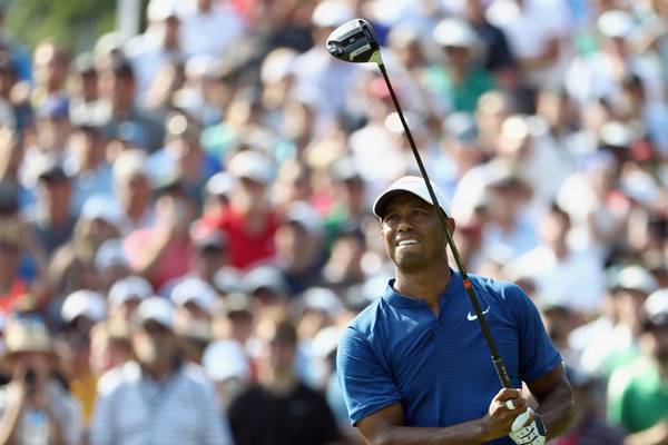 Tiger Woods will play a key role in US Ryder Cup team