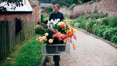 Kilruddery House's walled garden wonder revived