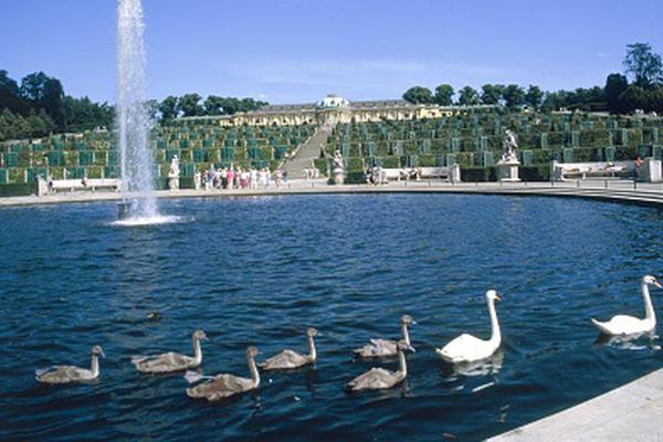 Euler and the failed fountain of Sanssouci