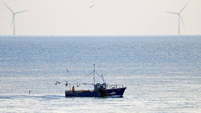 Trawler owners to be paid up to €89,000 to stay at port for a month under new scheme