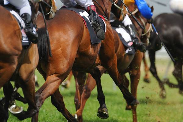 Thousands of Irish trained horses slaughtered in UK abattoirs, programme says