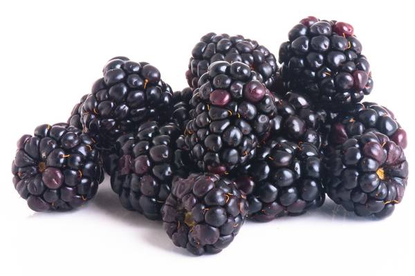 JP McMahon: How to make the most of blackberry season
