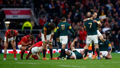 Brutal South Africa a bridge too far for valiant Wales
