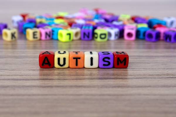 Parents of children with autism face extra €28,000 bill annually
