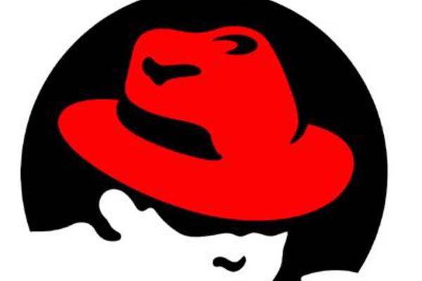 Irish unit of open source software  developers Red Hat sees profits jump