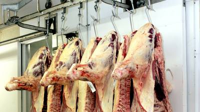 Oireachtas committee to discuss Covid-19 outsbreaks at meat plants