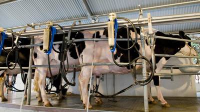 Collapse in dairy prices may persist ‘for another nine months’