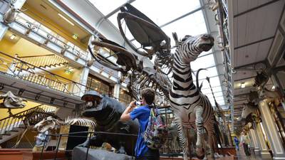 Plan aims to give museums new lease of life