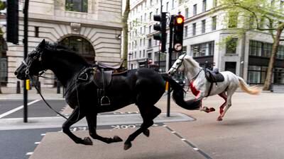 Military horses bolt through central London after being spooked by falling rubble