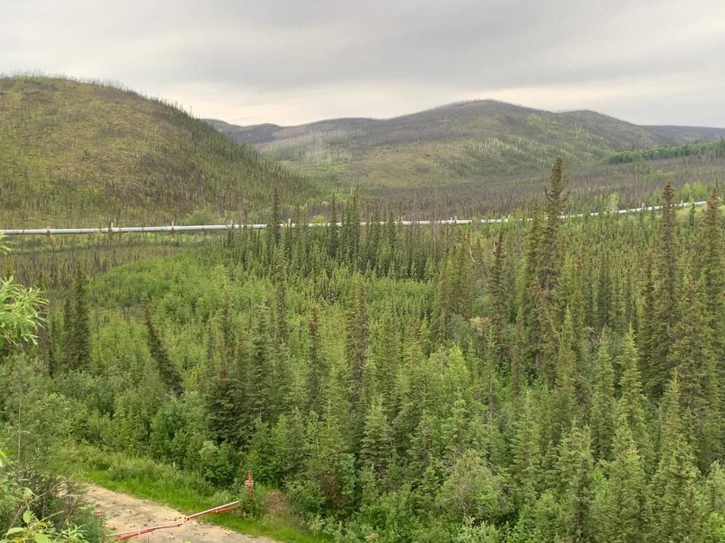 Tip2Top in Alaska: The Alaska Gas Pipeline near the Dalton Highway
