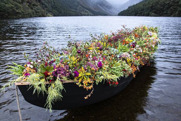 Beautiful blooms in surprising places around Ireland