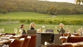 Grape escapes: Vineyard holidays in the UK