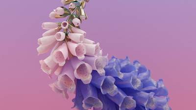Flume - Skin album review: a galaxy of collaborators with grooves to match