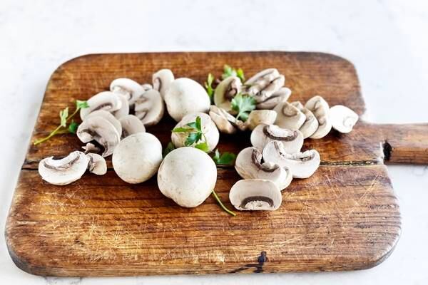 The mushroom revolution – Fionnuala Ward on edible fungi  