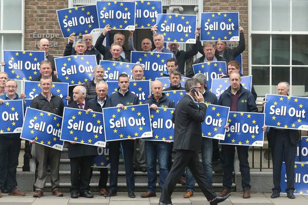 Farmers seek urgent meeting with Taoiseach over ‘sellout’ Mercosur deal