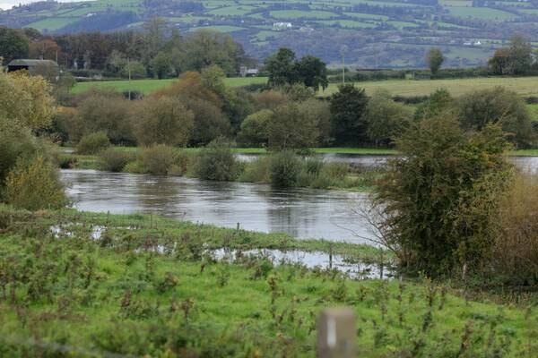 Nearly half of all rivers on island of Ireland below ‘good ecological health standards’