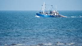 Migrant fisherman tells WRC he was underpaid €37,000 by Wexford trawler operator