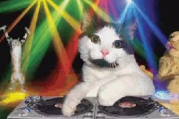 30 years of gifs: dancing babies, DJ cats, popcorn-eating stars