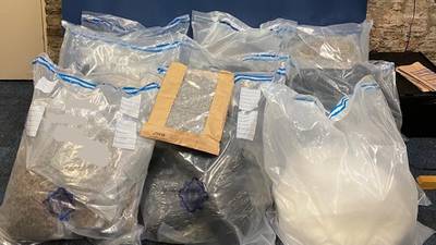 Gardaí seize €1.3 million in cannabis, cocaine in Dublin raids