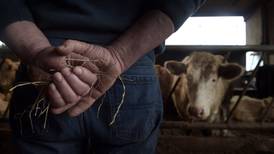 The planet’s dangerous  appetite for meat