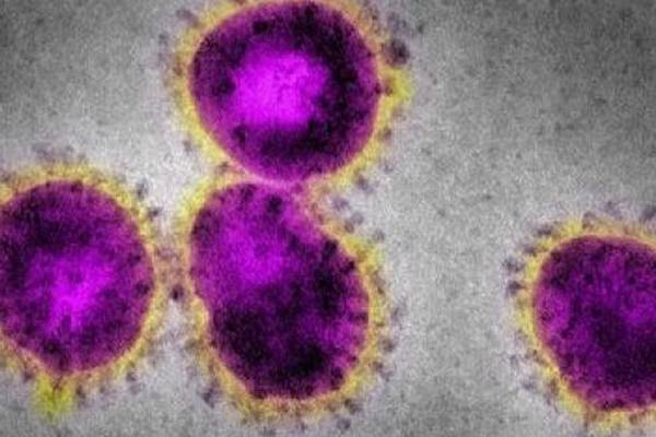 Coronavirus: Focus on personal responsibility is foolhardy