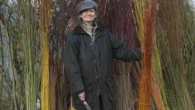 Wicker brings a welcome touch of whimsy to the garden