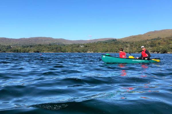 A whale of a time for all the family off the coast of west Cork