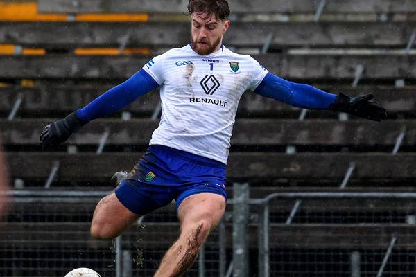 Limerick get back in promotion race as they add to Wicklow’s woes