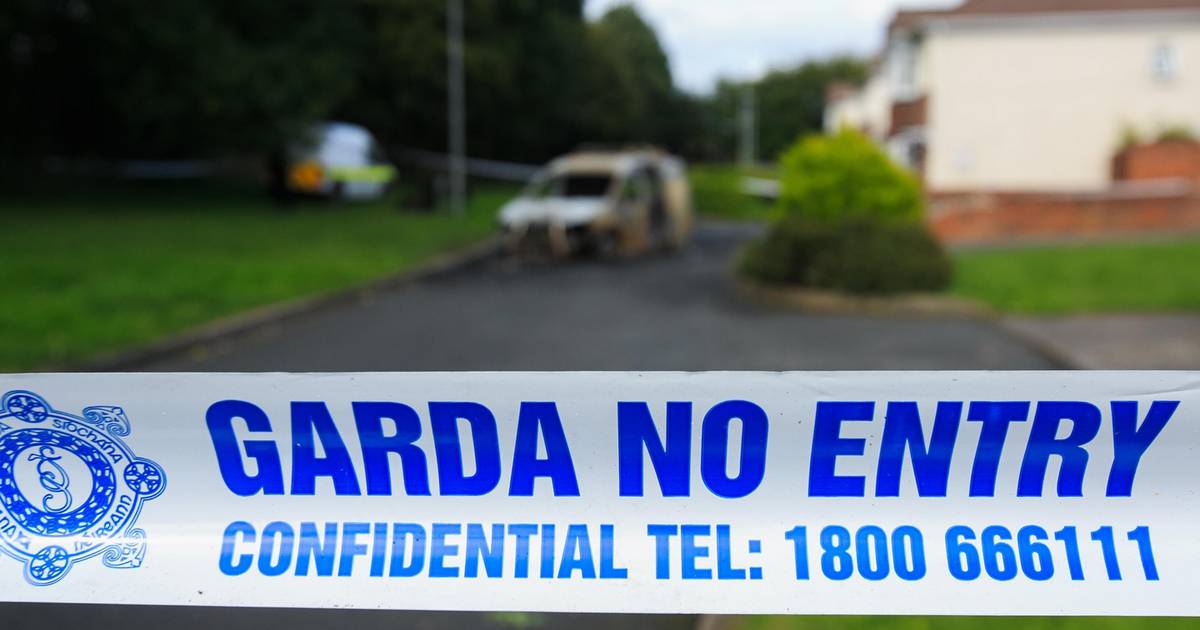Domestic homicides far outstrip gangland murder, says commissioner ...
