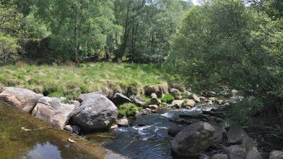 Walk for the Weekend: A new route around Glendalough