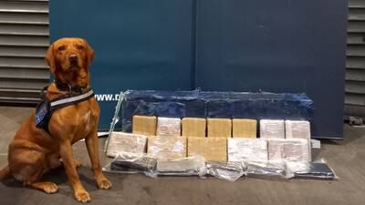 Cocaine worth €1.26m seized at Dublin Port as smuggling route is dismantled’