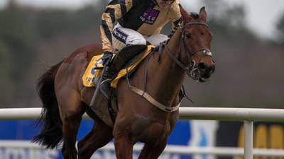 Willie Mullins running  Nichols Canyon and Shaneshill in America