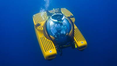 A virtual descent to the Twilight Zone of the deep ocean