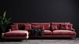 Róisín Ingle: I’ve been sofasplained and couchlighted but I love my new pink piece of furniture