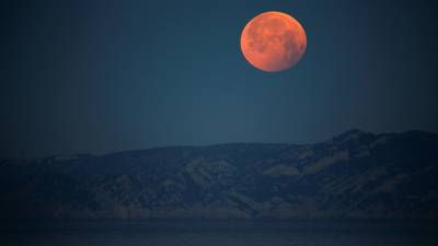 Pale moon rising – Frank McNally fails to witness the lunar eclipse