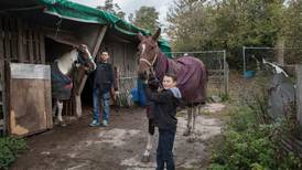 Local authorities should support horse ownership among Travellers – report