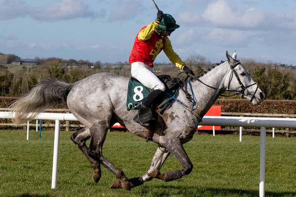 Hogan hopes Young Dev can go the distance in gruelling Midlands Grand National
