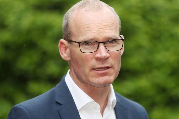Simon Coveney: We only have 115 days to get ready for a no-deal Brexit
