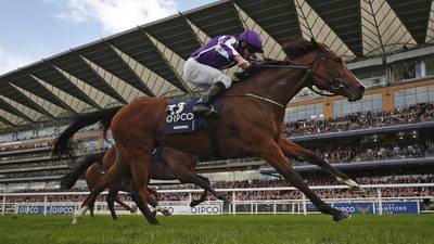Strength of O’Brien team deters challengers in  Curragh Group One races