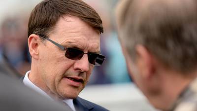 Mount Everest to hit Beresford Stakes peak for O’Brien