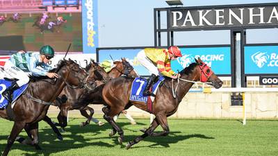 Gordon Elliott chasing a $500,000 prize on the flat in Kentucky