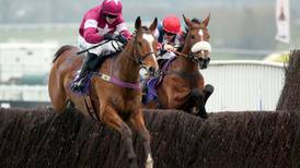 Weight of expectation shouldn’t  phase Don Poli at Leopardstown