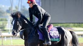Derby hero Auguste Rodin aiming to bring career to a winning end at Breeders’ Cup 