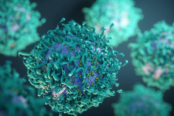 Killer cells: delivering a knockout blow to cancers